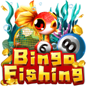 b66 game Câu Cá Bingo